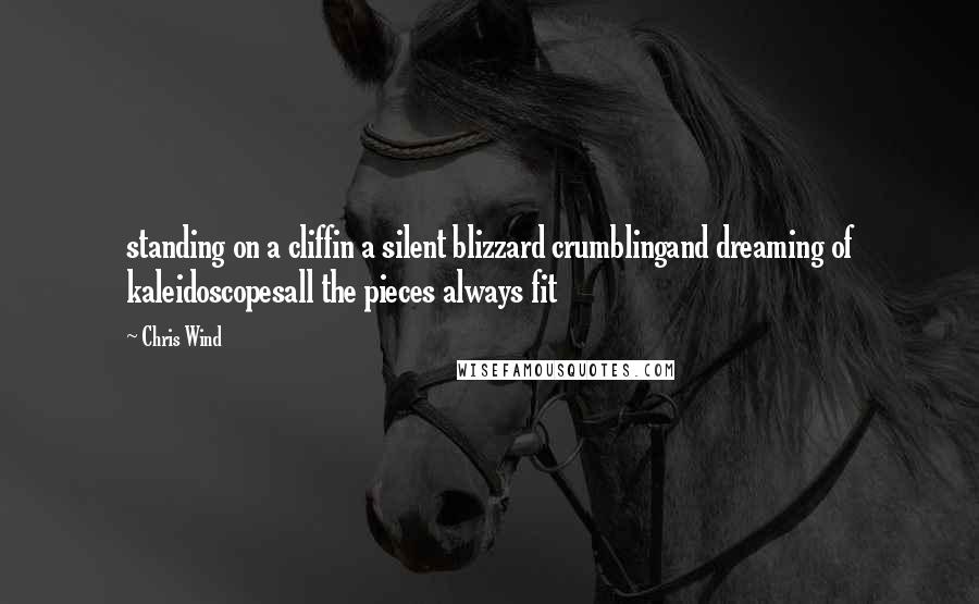 Chris Wind Quotes: standing on a cliffin a silent blizzard crumblingand dreaming of kaleidoscopesall the pieces always fit