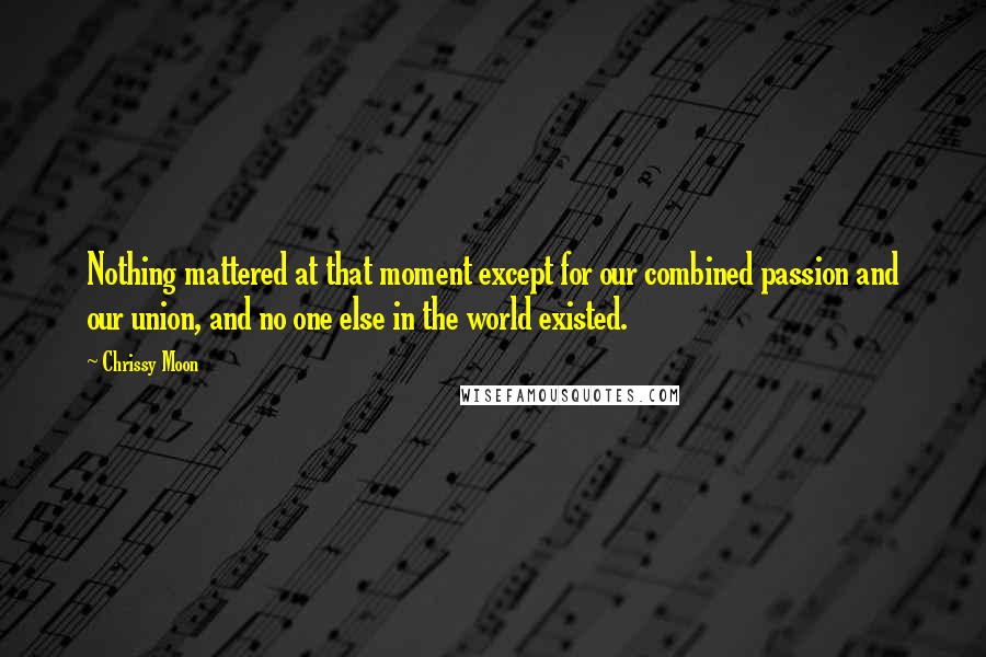 Chrissy Moon Quotes: Nothing mattered at that moment except for our combined passion and our union, and no one else in the world existed.