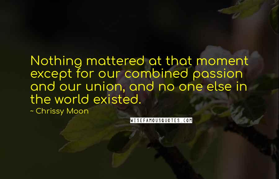 Chrissy Moon Quotes: Nothing mattered at that moment except for our combined passion and our union, and no one else in the world existed.