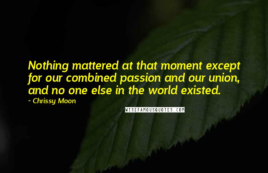 Chrissy Moon Quotes: Nothing mattered at that moment except for our combined passion and our union, and no one else in the world existed.