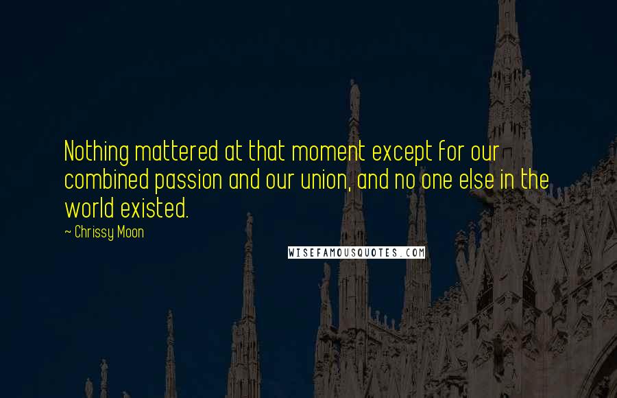 Chrissy Moon Quotes: Nothing mattered at that moment except for our combined passion and our union, and no one else in the world existed.