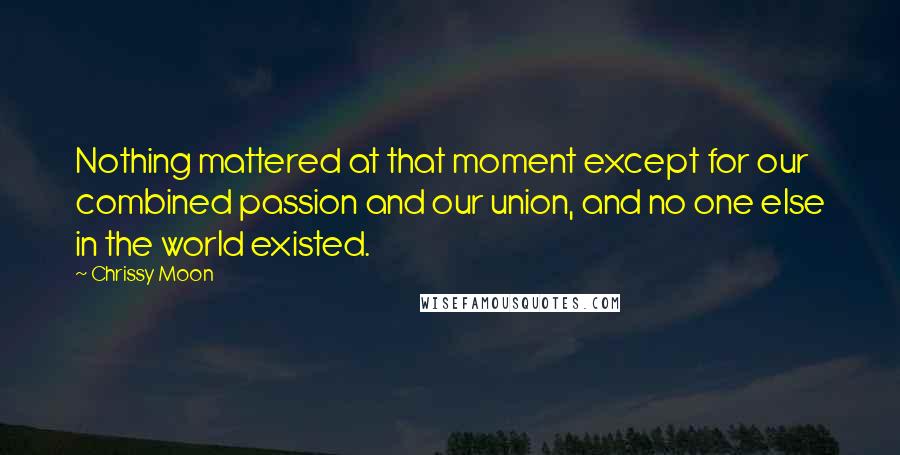 Chrissy Moon Quotes: Nothing mattered at that moment except for our combined passion and our union, and no one else in the world existed.