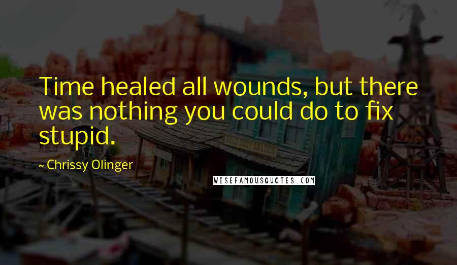 Chrissy Olinger Quotes: Time healed all wounds, but there was nothing you could do to fix stupid.