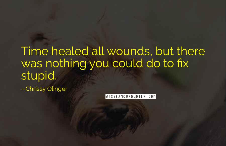 Chrissy Olinger Quotes: Time healed all wounds, but there was nothing you could do to fix stupid.