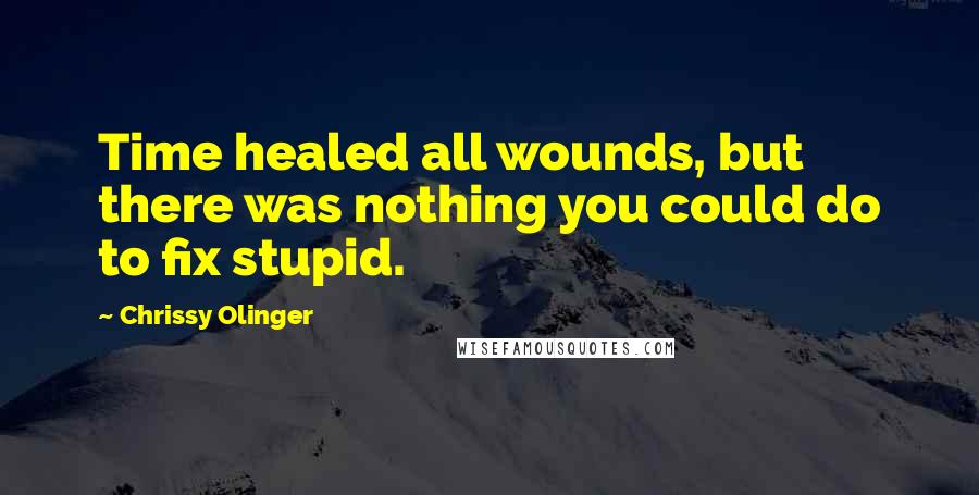 Chrissy Olinger Quotes: Time healed all wounds, but there was nothing you could do to fix stupid.