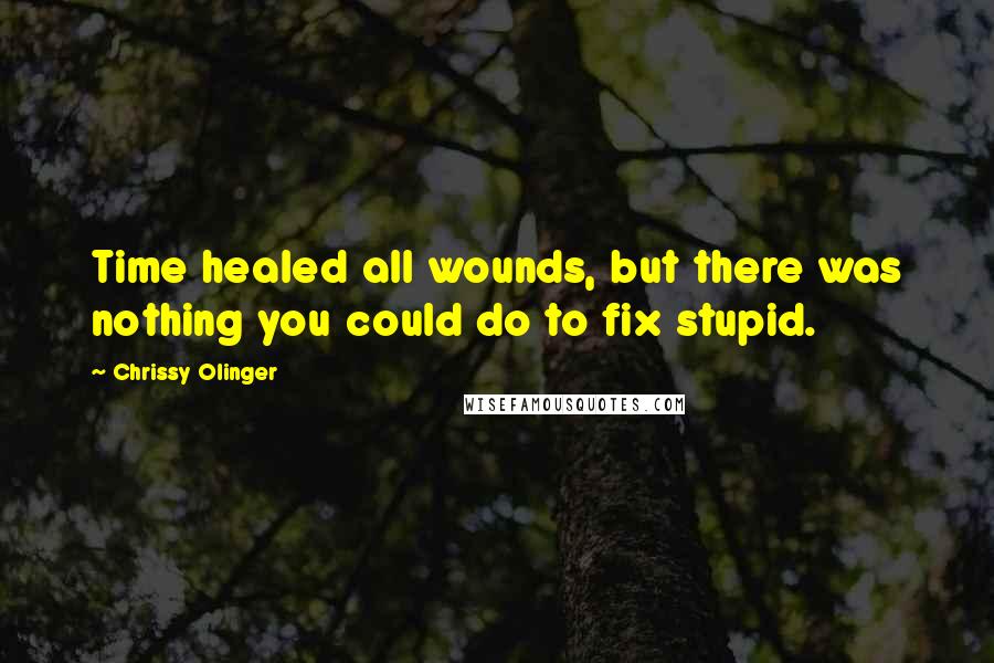 Chrissy Olinger Quotes: Time healed all wounds, but there was nothing you could do to fix stupid.