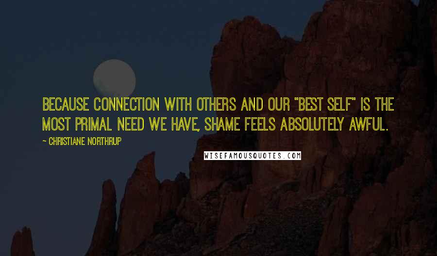 Christiane Northrup Quotes: Because connection with others and our "best self" is the most primal need we have, shame feels absolutely awful.