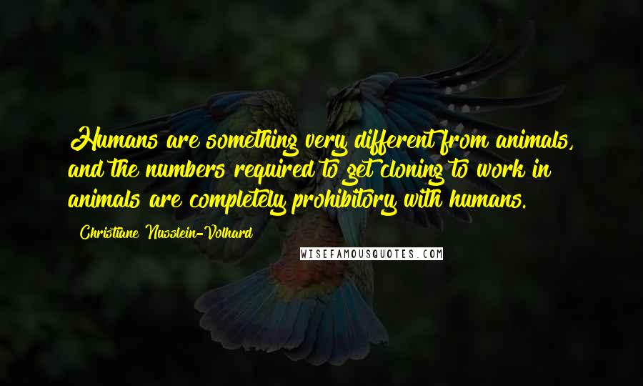 Christiane Nusslein-Volhard Quotes: Humans are something very different from animals, and the numbers required to get cloning to work in animals are completely prohibitory with humans.