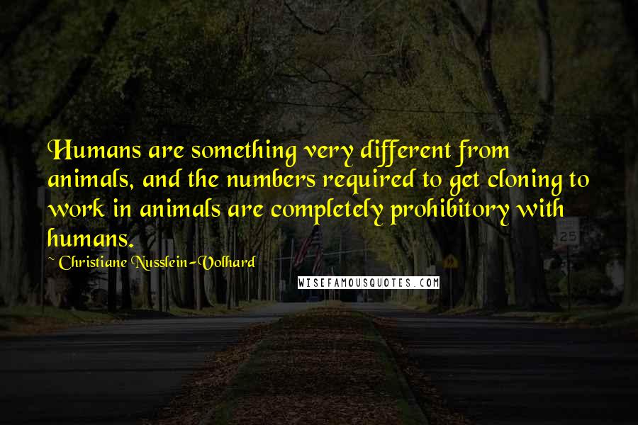 Christiane Nusslein-Volhard Quotes: Humans are something very different from animals, and the numbers required to get cloning to work in animals are completely prohibitory with humans.