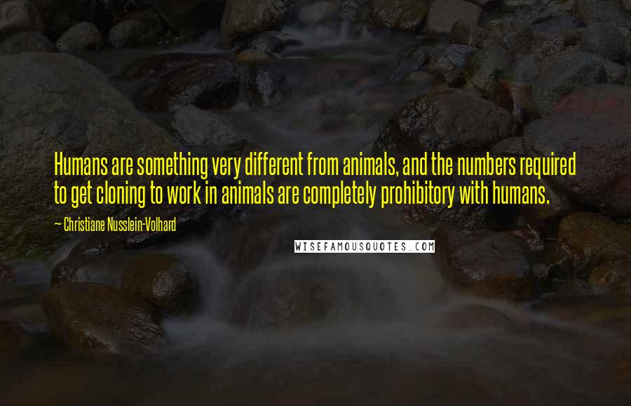 Christiane Nusslein-Volhard Quotes: Humans are something very different from animals, and the numbers required to get cloning to work in animals are completely prohibitory with humans.