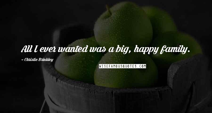 Christie Brinkley Quotes: All I ever wanted was a big, happy family.