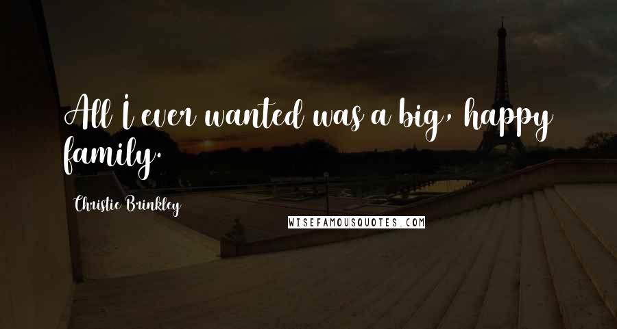 Christie Brinkley Quotes: All I ever wanted was a big, happy family.
