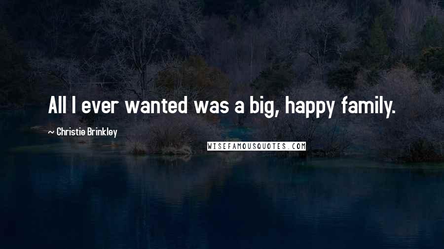 Christie Brinkley Quotes: All I ever wanted was a big, happy family.