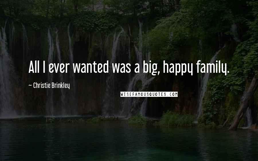 Christie Brinkley Quotes: All I ever wanted was a big, happy family.
