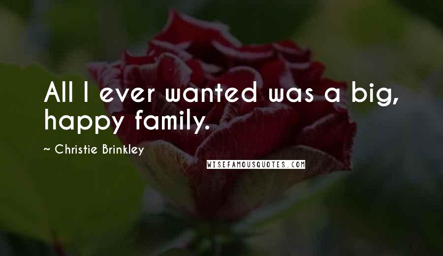 Christie Brinkley Quotes: All I ever wanted was a big, happy family.