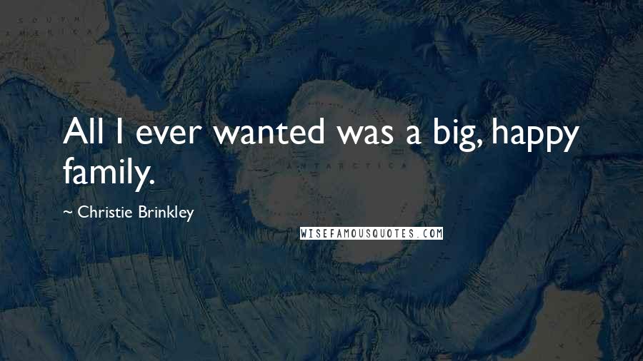 Christie Brinkley Quotes: All I ever wanted was a big, happy family.