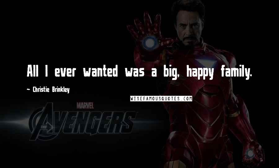 Christie Brinkley Quotes: All I ever wanted was a big, happy family.