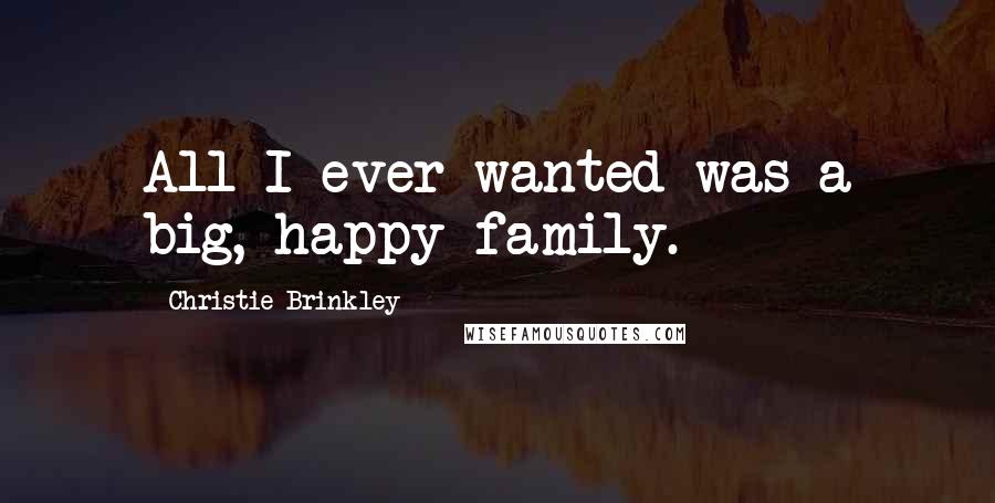 Christie Brinkley Quotes: All I ever wanted was a big, happy family.