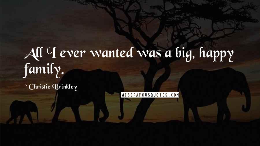 Christie Brinkley Quotes: All I ever wanted was a big, happy family.