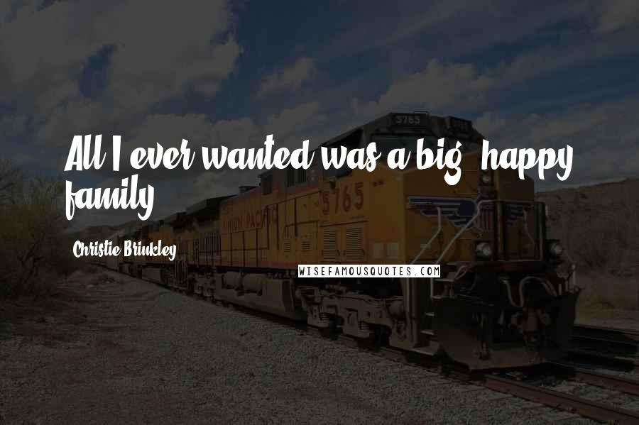 Christie Brinkley Quotes: All I ever wanted was a big, happy family.