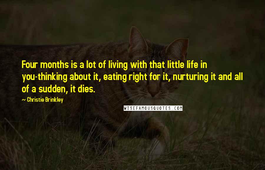 Christie Brinkley Quotes: Four months is a lot of living with that little life in you-thinking about it, eating right for it, nurturing it and all of a sudden, it dies.