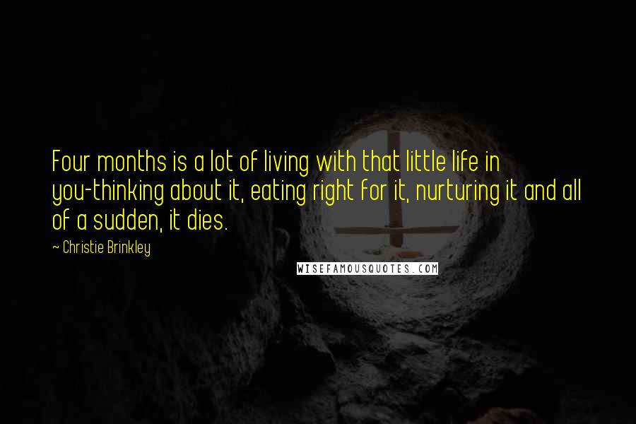 Christie Brinkley Quotes: Four months is a lot of living with that little life in you-thinking about it, eating right for it, nurturing it and all of a sudden, it dies.