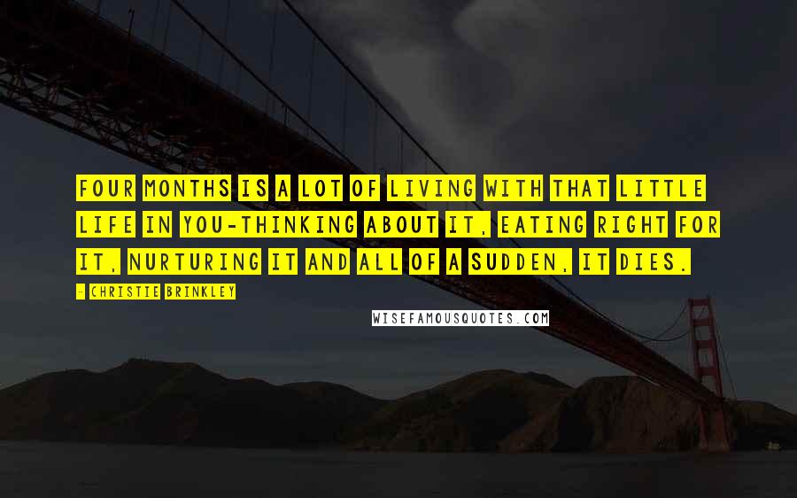Christie Brinkley Quotes: Four months is a lot of living with that little life in you-thinking about it, eating right for it, nurturing it and all of a sudden, it dies.