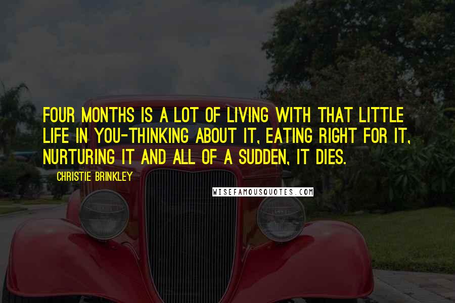 Christie Brinkley Quotes: Four months is a lot of living with that little life in you-thinking about it, eating right for it, nurturing it and all of a sudden, it dies.