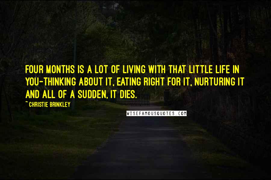 Christie Brinkley Quotes: Four months is a lot of living with that little life in you-thinking about it, eating right for it, nurturing it and all of a sudden, it dies.