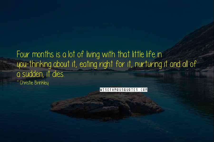 Christie Brinkley Quotes: Four months is a lot of living with that little life in you-thinking about it, eating right for it, nurturing it and all of a sudden, it dies.