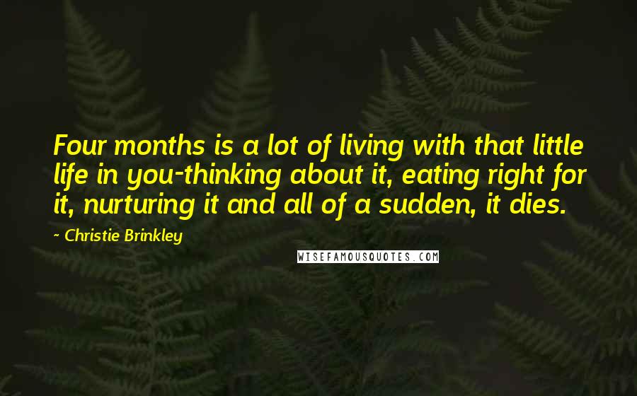 Christie Brinkley Quotes: Four months is a lot of living with that little life in you-thinking about it, eating right for it, nurturing it and all of a sudden, it dies.