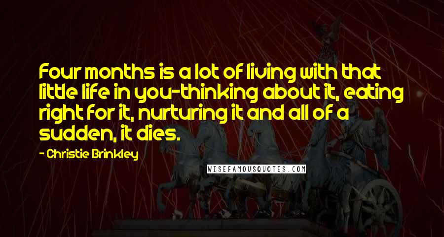 Christie Brinkley Quotes: Four months is a lot of living with that little life in you-thinking about it, eating right for it, nurturing it and all of a sudden, it dies.