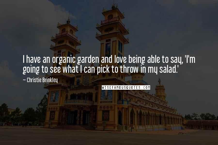 Christie Brinkley Quotes: I have an organic garden and love being able to say, 'I'm going to see what I can pick to throw in my salad.'