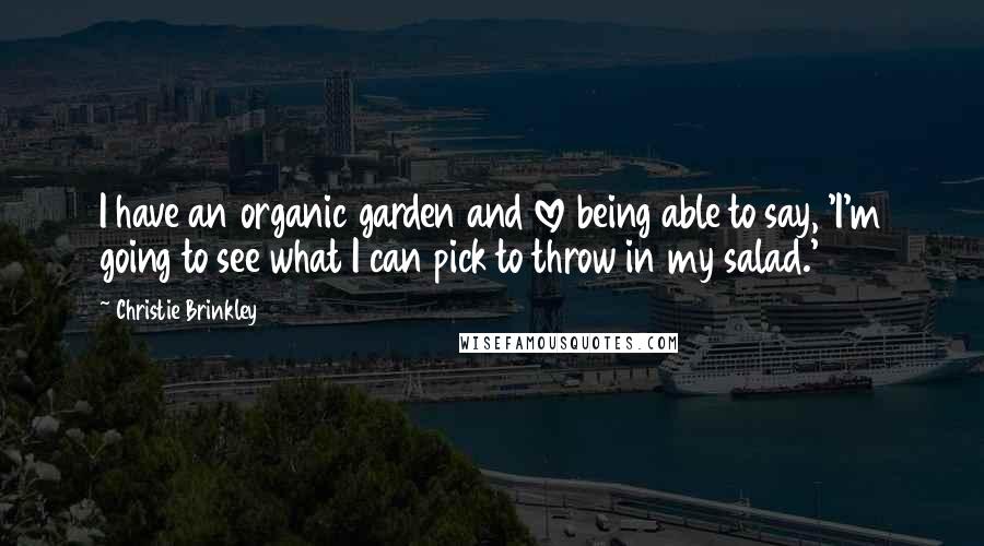 Christie Brinkley Quotes: I have an organic garden and love being able to say, 'I'm going to see what I can pick to throw in my salad.'