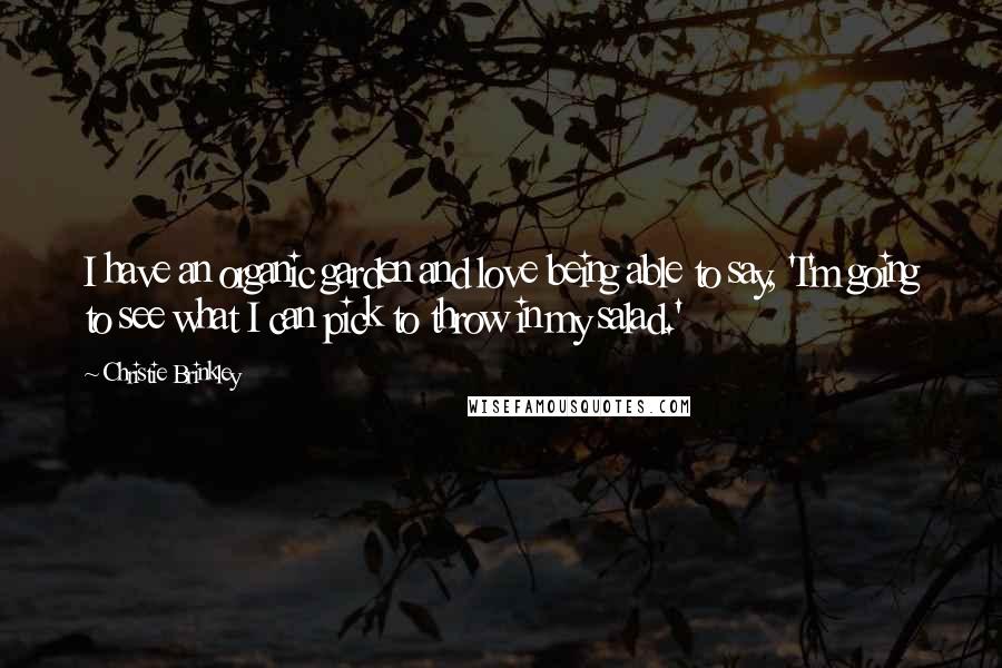 Christie Brinkley Quotes: I have an organic garden and love being able to say, 'I'm going to see what I can pick to throw in my salad.'