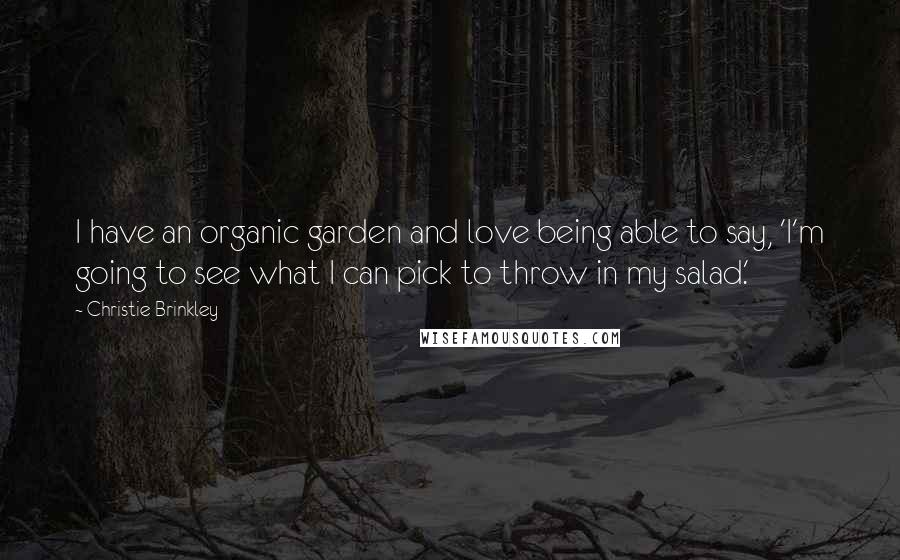 Christie Brinkley Quotes: I have an organic garden and love being able to say, 'I'm going to see what I can pick to throw in my salad.'