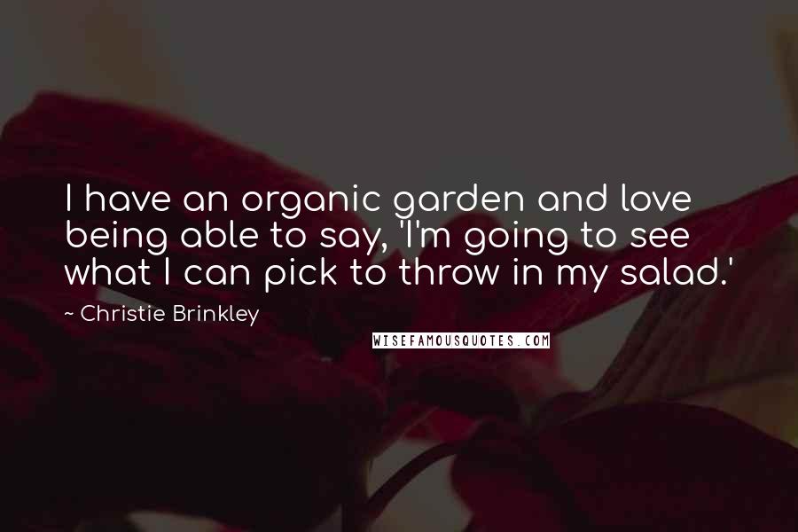 Christie Brinkley Quotes: I have an organic garden and love being able to say, 'I'm going to see what I can pick to throw in my salad.'