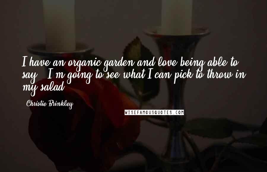 Christie Brinkley Quotes: I have an organic garden and love being able to say, 'I'm going to see what I can pick to throw in my salad.'