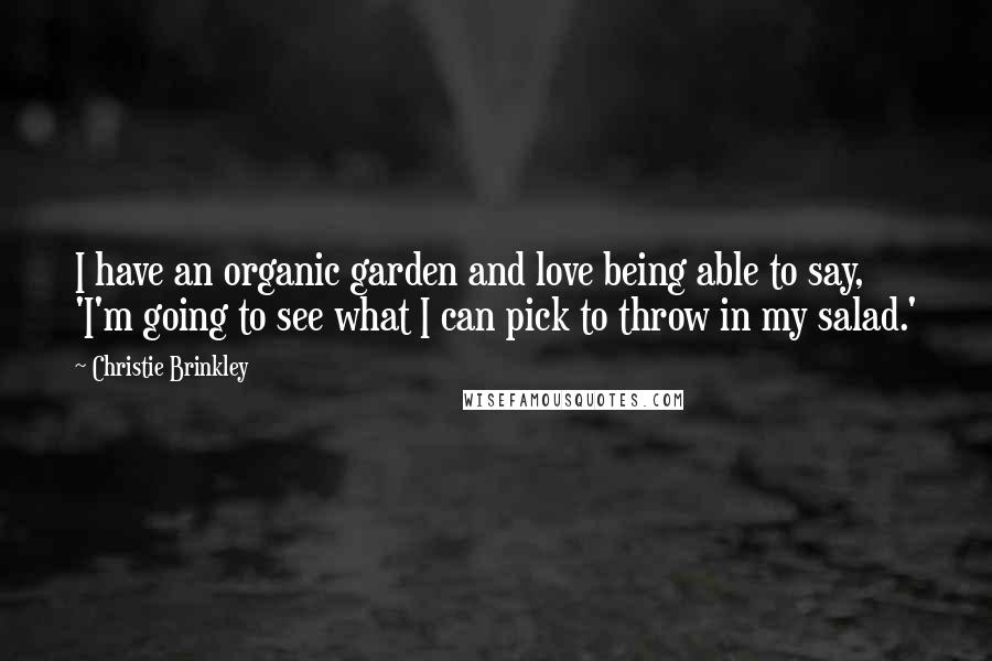 Christie Brinkley Quotes: I have an organic garden and love being able to say, 'I'm going to see what I can pick to throw in my salad.'