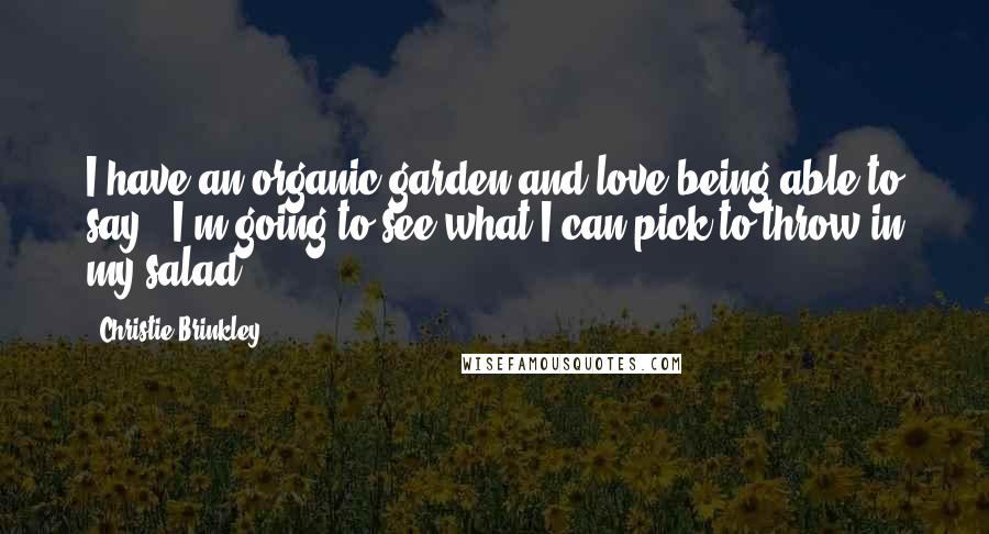 Christie Brinkley Quotes: I have an organic garden and love being able to say, 'I'm going to see what I can pick to throw in my salad.'