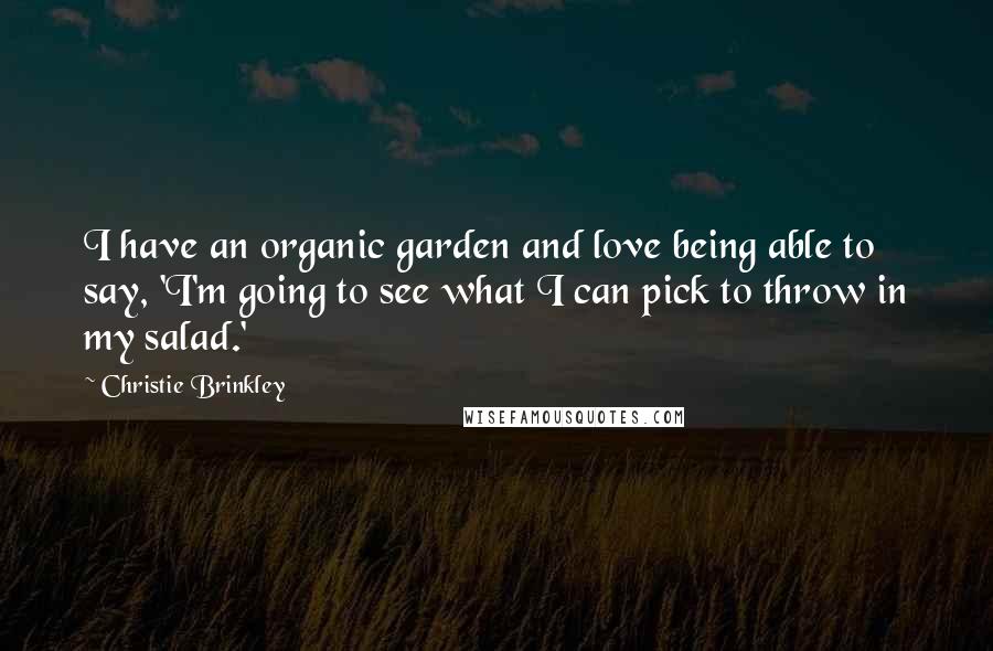 Christie Brinkley Quotes: I have an organic garden and love being able to say, 'I'm going to see what I can pick to throw in my salad.'