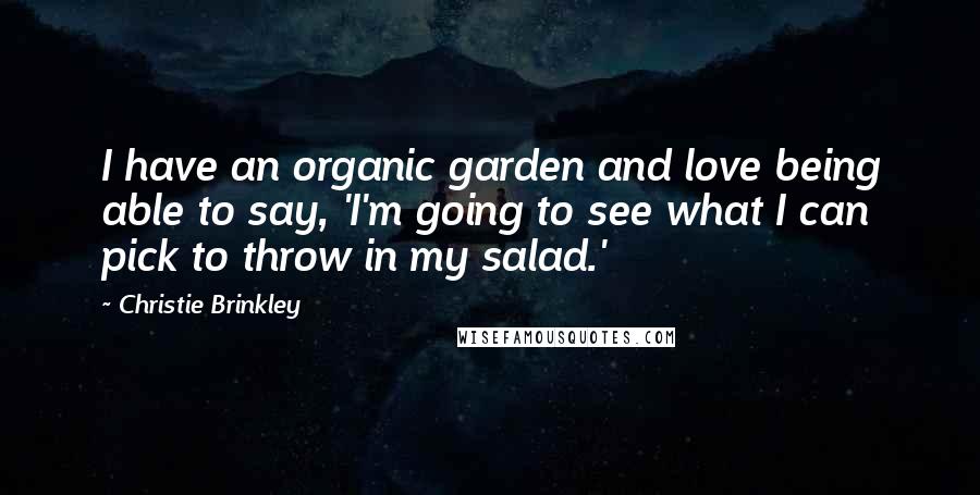 Christie Brinkley Quotes: I have an organic garden and love being able to say, 'I'm going to see what I can pick to throw in my salad.'