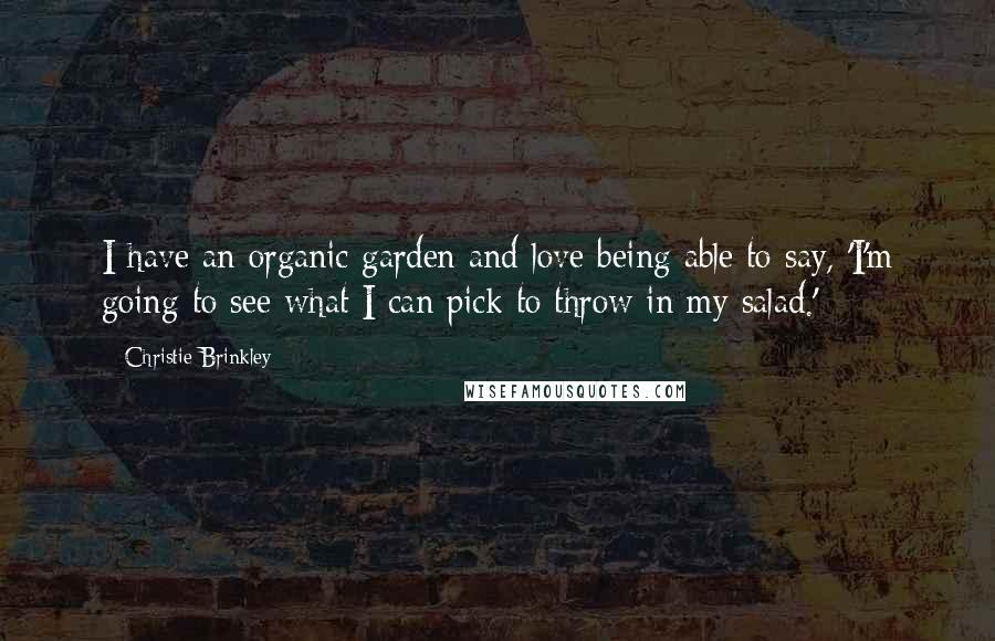 Christie Brinkley Quotes: I have an organic garden and love being able to say, 'I'm going to see what I can pick to throw in my salad.'