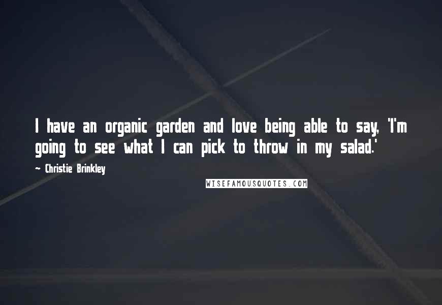 Christie Brinkley Quotes: I have an organic garden and love being able to say, 'I'm going to see what I can pick to throw in my salad.'