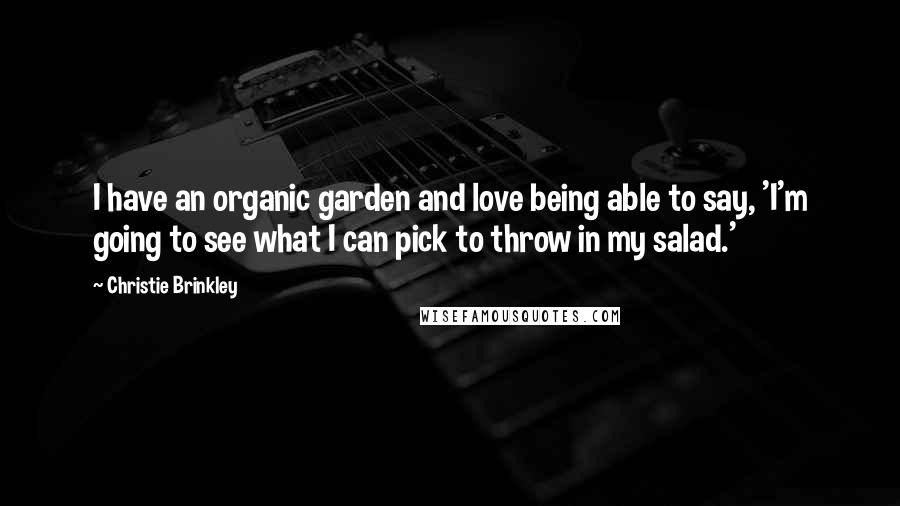 Christie Brinkley Quotes: I have an organic garden and love being able to say, 'I'm going to see what I can pick to throw in my salad.'