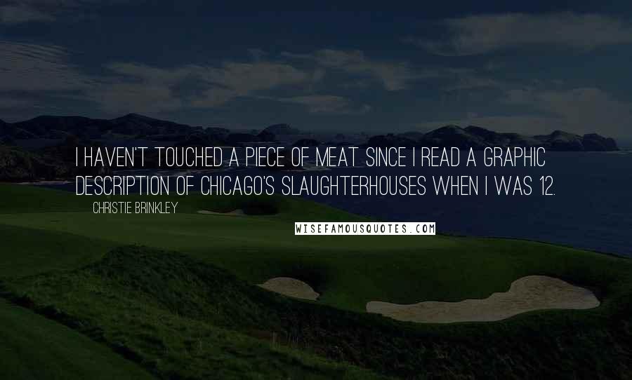Christie Brinkley Quotes: I haven't touched a piece of meat since I read a graphic description of Chicago's slaughterhouses when I was 12.
