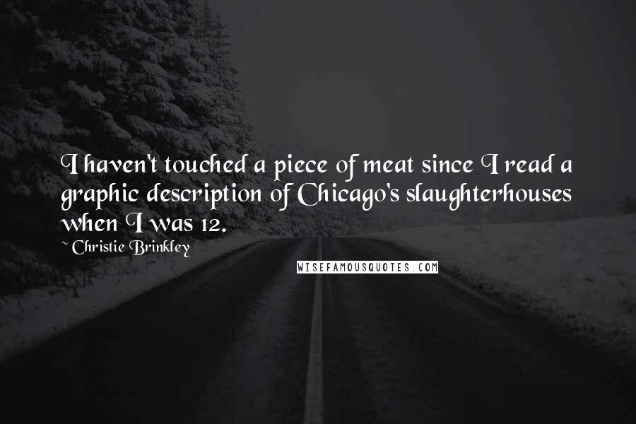 Christie Brinkley Quotes: I haven't touched a piece of meat since I read a graphic description of Chicago's slaughterhouses when I was 12.
