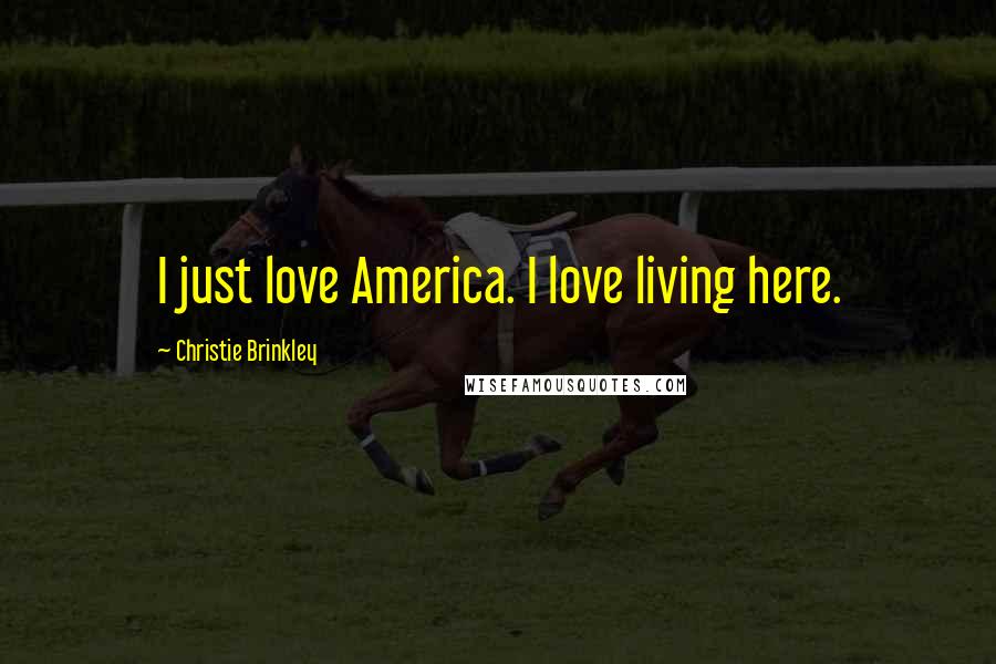 Christie Brinkley Quotes: I just love America. I love living here.