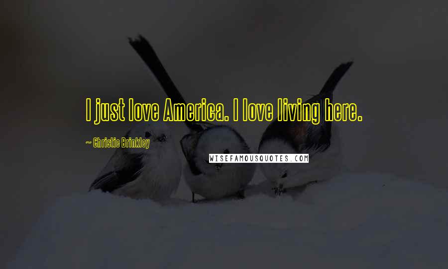 Christie Brinkley Quotes: I just love America. I love living here.