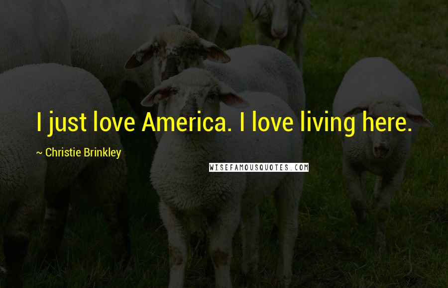 Christie Brinkley Quotes: I just love America. I love living here.